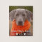 Family Pet Photo Personalized