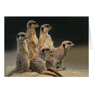 Family Portrait Card
