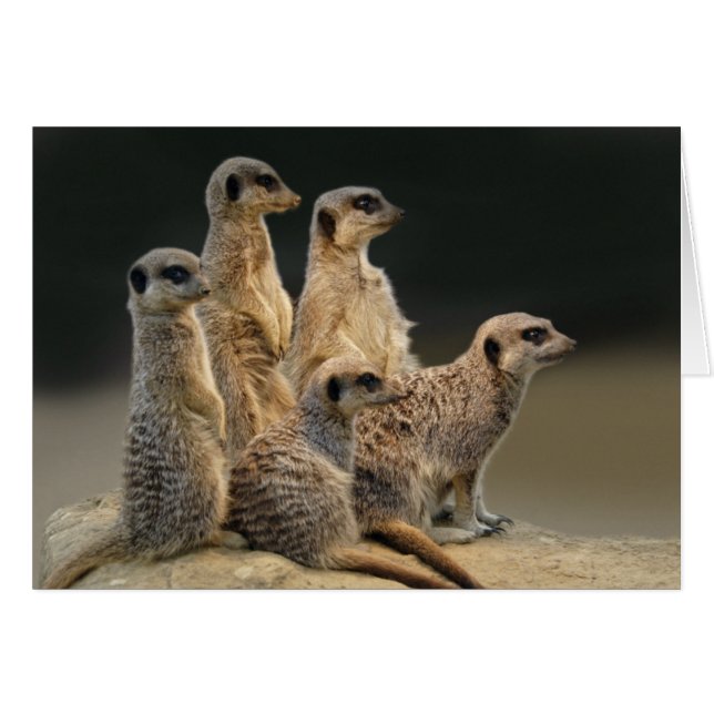 Family Portrait Card (Front Horizontal)