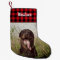 Family Portrait Custom Print Pet Photo