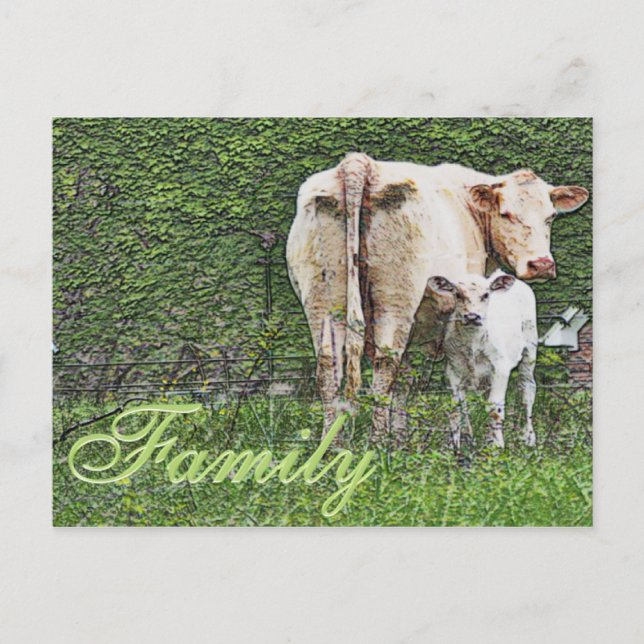 Family Postcard (Front)