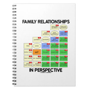 Family Relationships In Perspective (Genealogy) Notebook