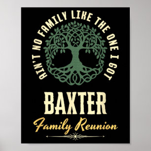 Family Reunion 2025 Matching Design - Baxter  Poster