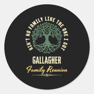 Family Reunion 2025 Matching Design - Gallagher  Classic Round Sticker