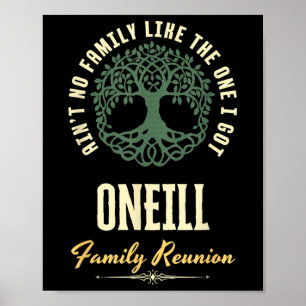 Family Reunion 2025 Matching Design - Oneill  Poster