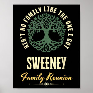 Family Reunion 2025 Matching Design - Sweeney  Poster
