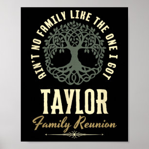 Family Reunion 2025 Matching Design - Taylor  Poster