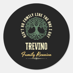Family Reunion 2025 Matching Design - Trevino Classic Round Sticker