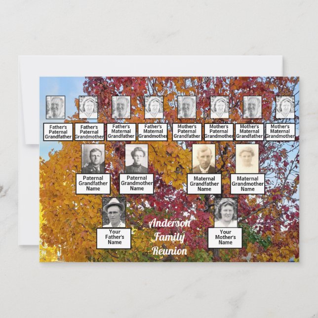 Family Reunion 3 Generation Autumn Colourful Tree  Invitation (Front)