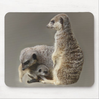 Family ties mouse pad