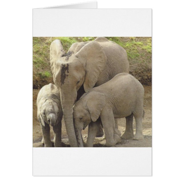 Family unit.jpg (Front)