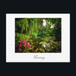 Famous Claude Monet Giverny Pond Lilies Postcard<br><div class="desc">Famous Claude Monet Giverny,  France Pond with Lilies Canvas Stylized Photo Postcard to add to your travel memorabilia collection. A cool gift / present idea for all who love custom design personalized items,  positive vibes,  architecture,  travelling,  all things French,  magic landscapes,  nature,  flowers,  romance,  art,  paintings etc.</div>