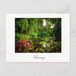 Famous Claude Monet Giverny Pond Lilies Postcard<br><div class="desc">Famous Claude Monet Giverny,  France Pond with Lilies Canvas Stylized Photo Postcard to add to your travel memorabilia collection. A cool gift / present idea for all who love custom design personalized items,  positive vibes,  architecture,  travelling,  all things French,  magic landscapes,  nature,  flowers,  romance,  art,  paintings etc.</div>