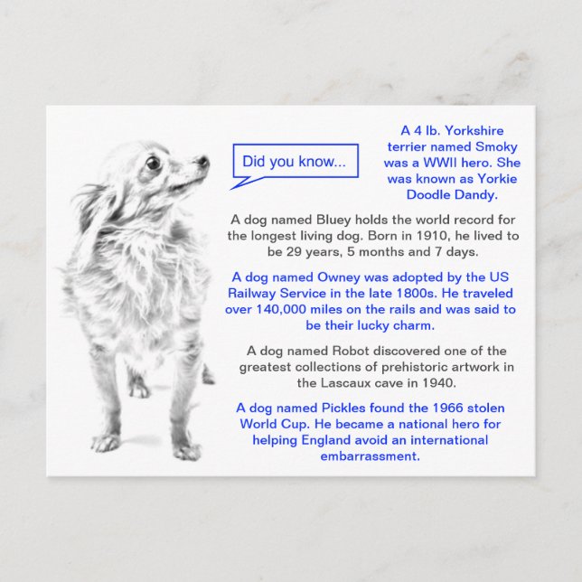 Famous Dogs Fun Facts Postcard (Front)
