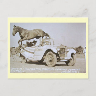Famous Jumping Horse, Rodeo, California Vintage Postcard