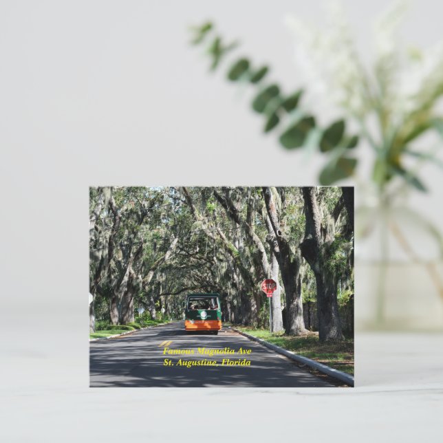 Famous Magnolia Ave St. Augustine, Florida Holiday Postcard (Standing Front)