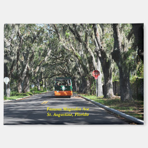 Famous Magnolia Ave St. Augustine, Florida Magnet