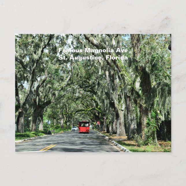 Famous Magnolia Avenue Postcard (Front)
