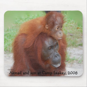 Famous Orangutan Mother Mouse Pad