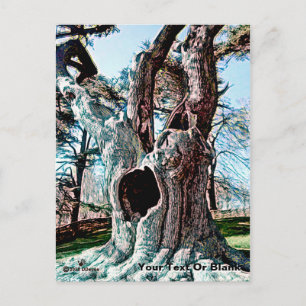 Famous Wizard Movie Tree Holiday Postcard