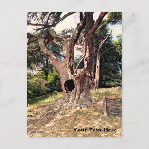 Famous Wizard Movie Tree Postcard