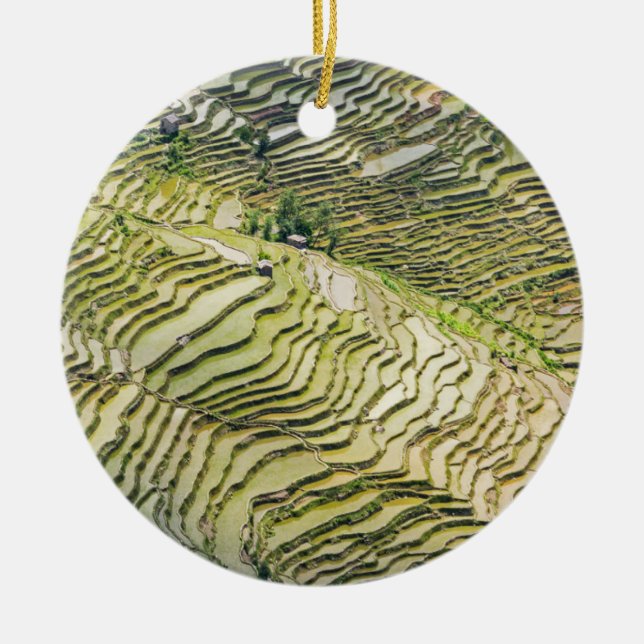 Famous yuanyang Rice Terraces - Yunnan, China Ceramic Ornament (Front)