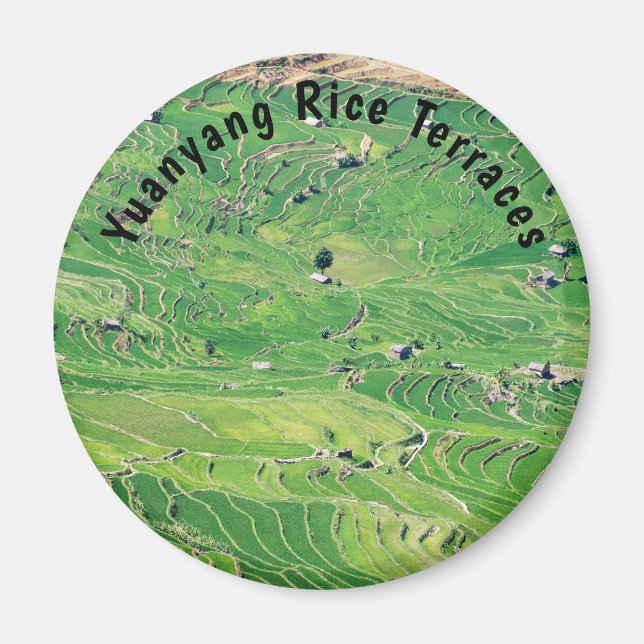 Famous yuanyang Rice Terraces - Yunnan, China Magnet (Front)