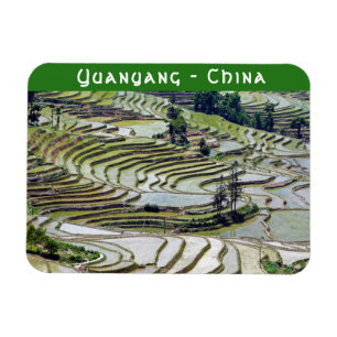 Famous yuanyang Rice Terraces - Yunnan, China Magnet