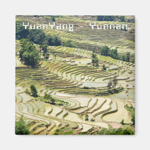 Famous yuanyang Rice Terraces - Yunnan, China Magnet