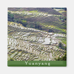 Famous yuanyang Rice Terraces - Yunnan, China Magnet