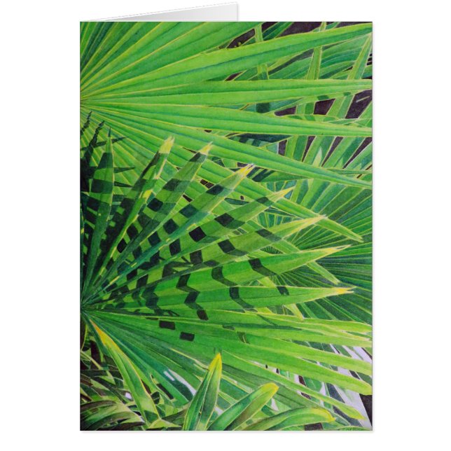 Fan Palm (Front)