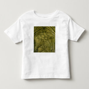 Fan vaulting in the cloister toddler t-shirt