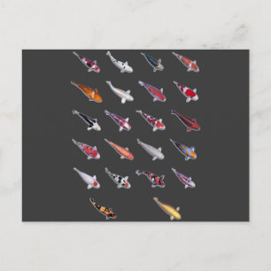 Fanatical About Koi Postcard