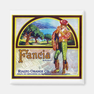 Fancia Oranges Magnet