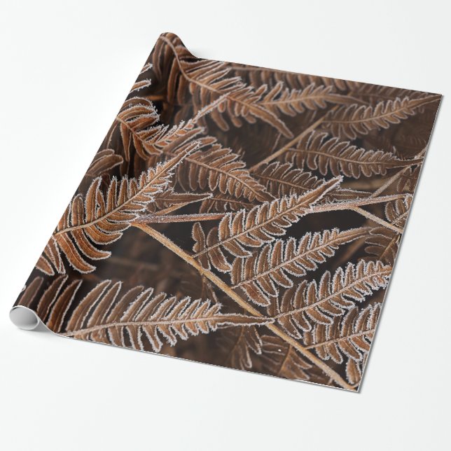 Fanciful Frostbitten Brown Ferns Wrapping Paper (Unrolled)