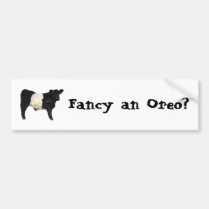 Fancy an Oreo? Belted Galloway Cattle Beltie Steer Bumper Sticker