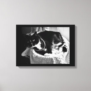Fancy Cat Canvas Print