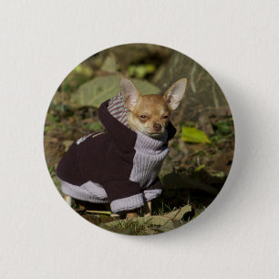 Fancy Chihuahua 2 Inch Round Button
