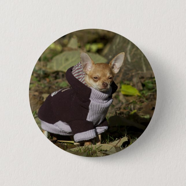 Fancy Chihuahua 2 Inch Round Button (Front)