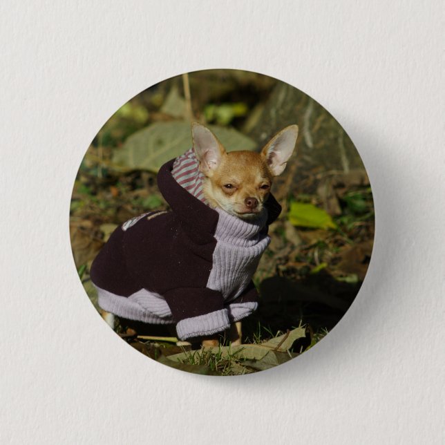 Fancy Chihuahua 2 Inch Round Button (Front)