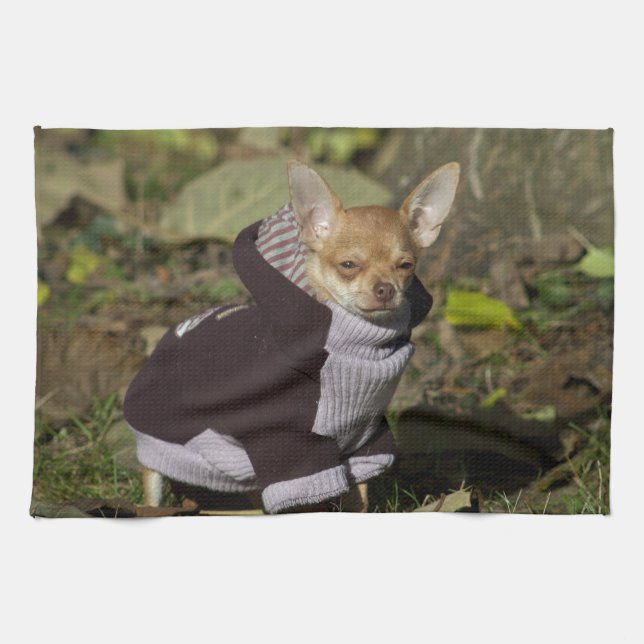 Fancy Chihuahua Kitchen Towel (Horizontal)