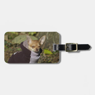 Fancy Chihuahua Luggage Tag