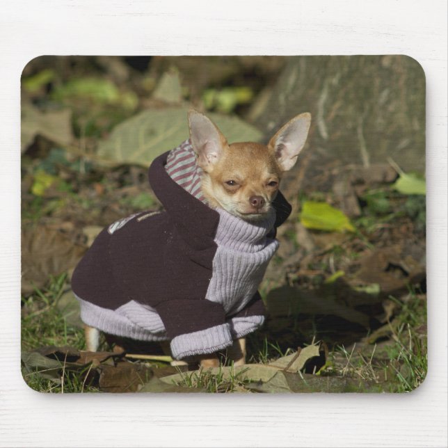 Fancy Chihuahua Mouse Pad (Front)