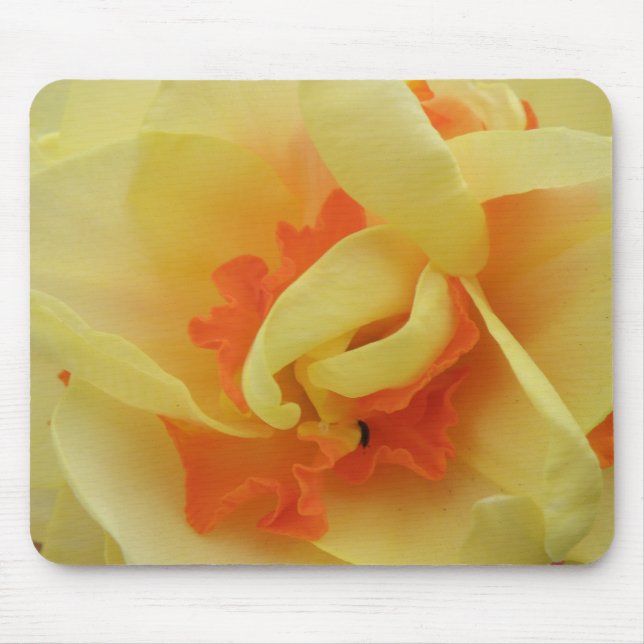 Fancy Daffodil Mousepad (Front)