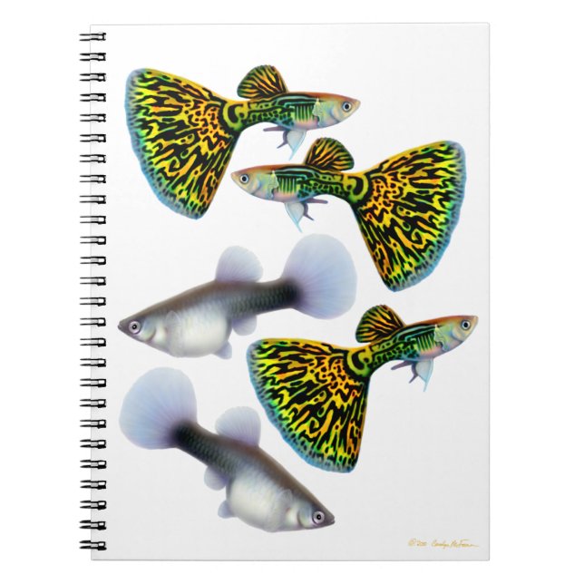 Fancy Fantail Guppies Notebook (Front)