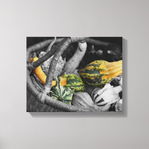 Fancy Gourds In Wicker Basket Partial Colour Canvas Print