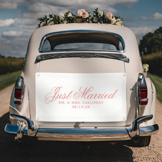 Fancy Just Married Car Banner