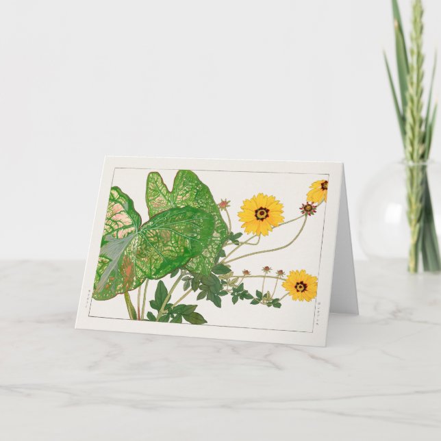 Fancy-leafed caladium, Coreopsis by Tanigami Konan Card (Front)