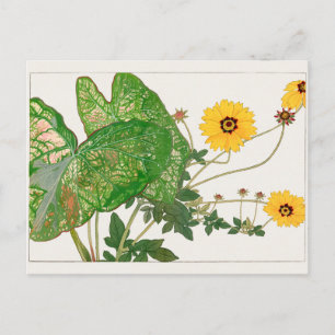 Fancy-leafed caladium, Coreopsis by Tanigami Konan Postcard