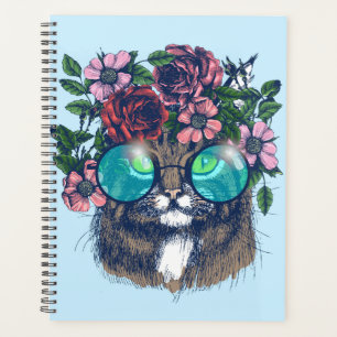 Fancy Maine Coon